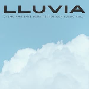 Lluvia: Calmo Ambiente Para Perros Con Sueño Vol. 1 - Calma Música para Perros