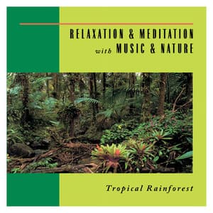Tropical Rainforest - Relaxation & Mediation With Music & Nature