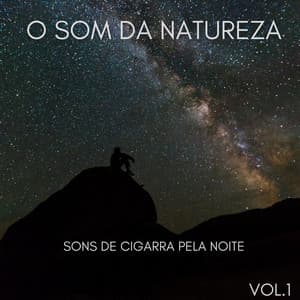 O Som Da Natureza: Sons De Cigarra Pela Noite Vol.1 - Musica de Piano Clásicos