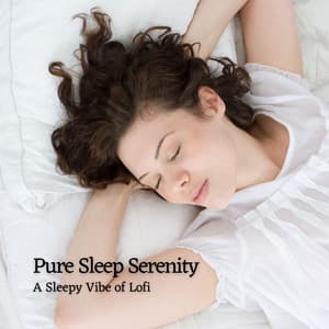 Pure Sleep Serenity: A Sleepy Vibe of Lofi - Lofi Night Drives