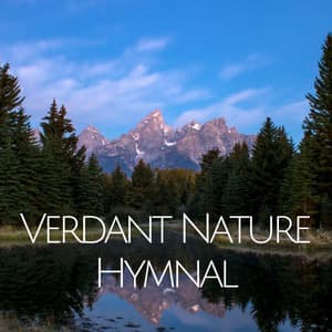 Verdant Nature Hymnal - Foresty Ambient Noises