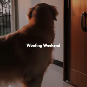 Woofing Weekend - Studying Jazz