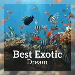 Best Exotic Dream - Exotic Nature Kingdom