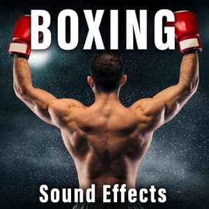 Boxing Sound Effects - Sound Ideas