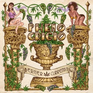 Pheno Grigio - Berner