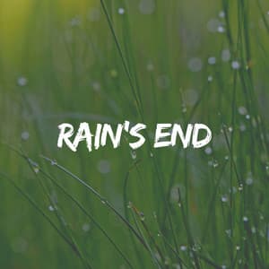Rain's End - Forest Rain FX