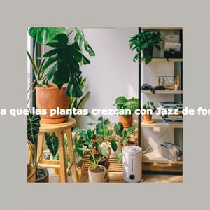Deja que las plantas crezcan con Jazz de fondo - Coffee House Jazz Radio