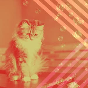 Quartet Jazz - Bgm for Pure Cats - Cat Sleeping Music Project
