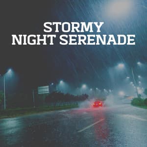 Stormy Night Serenade - Pro Sound Effects Library