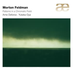 Feldman: Patterns In a Chromatic Field - Morton Feldman