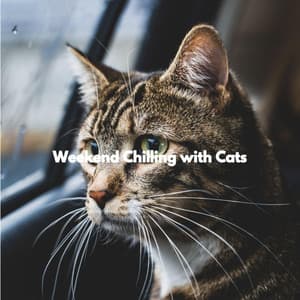 Weekend Chilling with Cats - Jazz Relajante