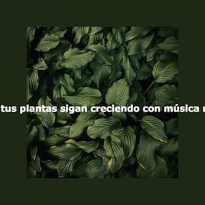 Haz que tus plantas sigan creciendo con música relajante - Good Mood Jazz