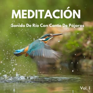 Meditación: Sonido De Río Con Canto De Pájaros Vol. 1 - Agua Mantra