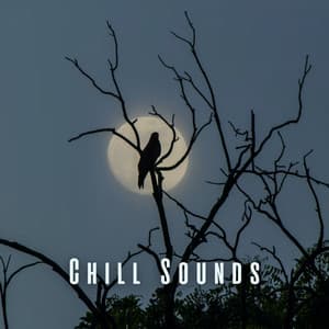Chill Sounds: Calming Birds and Crystal Bowl Sounds for Deep Sleep - The Sleep Helpers