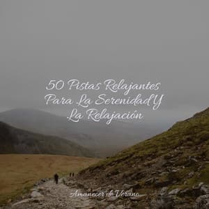 50 Pistas Relajantes Para La Serenidad Y La Relajación - Lullabies for Deep Meditation