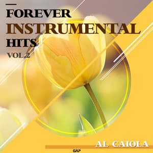 AL CAIOLA - FOREVER INSTRUMENTAL HITS VOL. 2 - Al Caiola