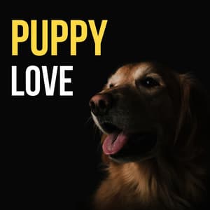 Puppy Love - Dog Music Therapy