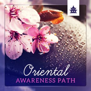 Oriental Awareness Path - Mindfulness Meditation Unit