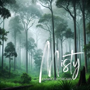 Misty Rainwood Dreams - Life Sounds Nature