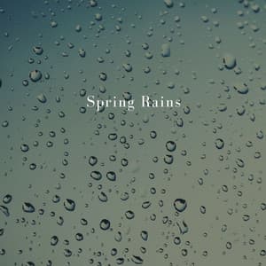 Spring Rains - The White Noise Zen & Meditation Sound Lab