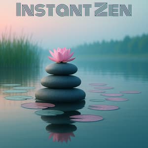 Instant Zen - Kaoru Shinsei