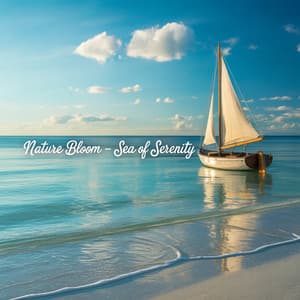 Sea of ​​Serenity - Nature Bloom