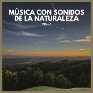 Música con Sonidos de La Naturaleza Vol. 1 - Lluvia Del Bosque