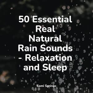 50 Essential Real Natural Rain Sounds - Relaxation and Sleep - Sons da Natureza Relax