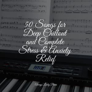 50 Quiet Songs for Complete Relaxation and Collection - Piano Therapy
