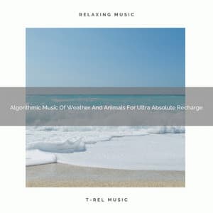 Algorithmic Music Of Weather And Animals For Ultra Absolute Recharge - Aquagirl