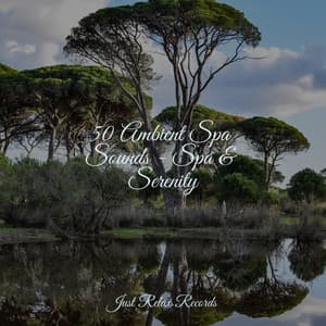 50 Ambient Spa Sounds - Spa & Serenity - Relaxamento