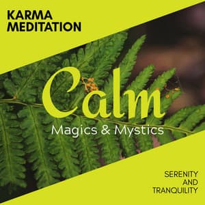 Karma Meditation - Serenity and Tranquility - Relaxing Minds