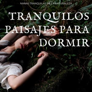 Tranquilos Paisajes Para Dormir: Nanas Tranquilas De La Naturaleza - Cuatro Vientos
