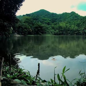 Sonido de Laguna el Tabacal la Vega - River Sparks