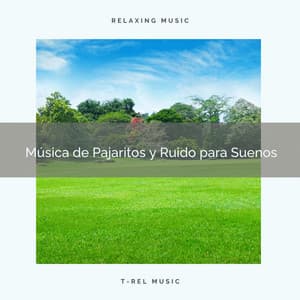 Música de Pajaritos y Ruido para Suenos - Ruido Blanco