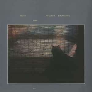 Vision - L. Shankar