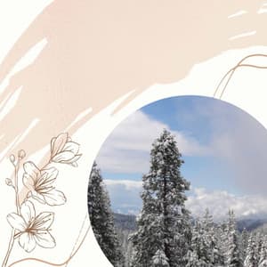 Relaxing Days - Music - Música Chill para Cafés