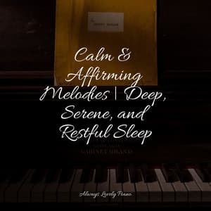 The Ultimate Collection of Soft Music for Focus - Anti Stress