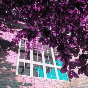 Romantic Background for Infinite Passion - Soft Background Music