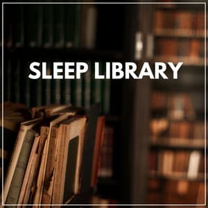 Sleep Library - Sleeping Music for Babies