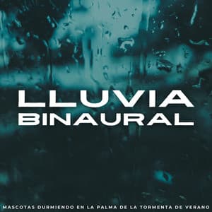 Lluvia Binaural: Mascotas Durmiendo En La Palma De La Tormenta De Verano - Ricky sonido de lluvia