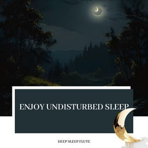 Enjoy Undisturbed Sleep - Deep Sleep Flute
