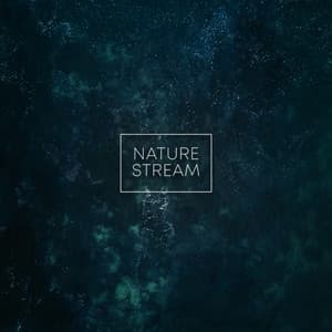Nature Stream - Natural Sounds