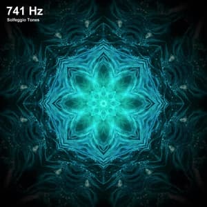 741 Hz Solfeggio Frequencies - Solfeggio Miracle Frequencies