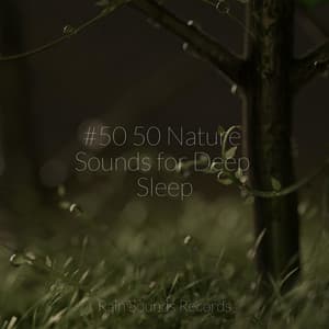 #50 50 Nature Sounds for Deep Sleep - Bird Sounds