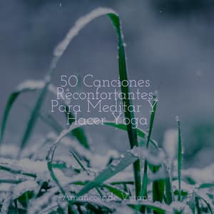50 Canciones Reconfortantes Para Meditar Y Hacer Yoga - Relajación