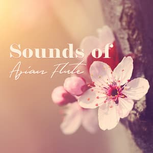 Sounds of Asian Flute: Dreamy Flute Music with Atmospheres for Zen Relaxation - Relaxing Flute Music Zone