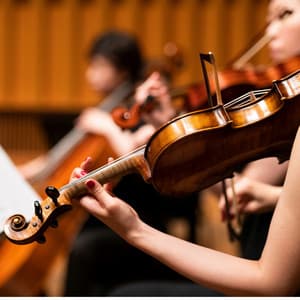 Relaxation Symphony: Soothing Sounds for Serenity - Raymond Floyd