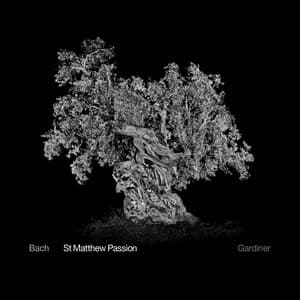 J.S. Bach: St. Matthew Passion, BWV 244 - Johann Sebastian Bach