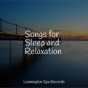 Songs for Sleep and Relaxation - Saludo al Sol Sonido Relajante